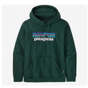 P-6 LOGO UPRISAL HOODY PATAGONIA