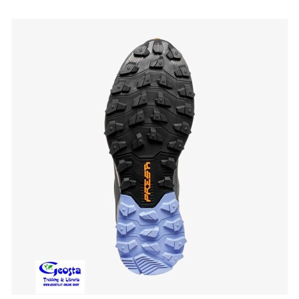 RIBELLE RUN 2 GTX WMN SCARPA