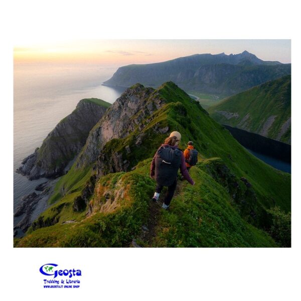 E7FBB056C19B2511902C4BBB4109ECEE_ MUSTANG TRK GTX WOMAN SCARPA