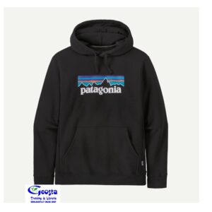0A00CABCF702209BD867BB3D67B5B944_ P-6 LOGO UPRISAL HOODY PATAGONIA